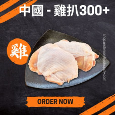 中國 - 雞扒300+ (磅)